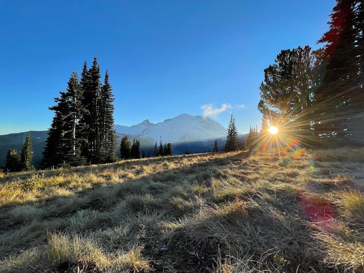 Mt. Rainier at Dawn